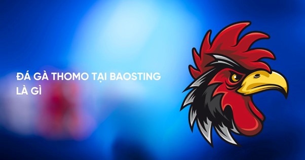 Tìm hiểu xem đá gà Thomo tại Baosting là gì