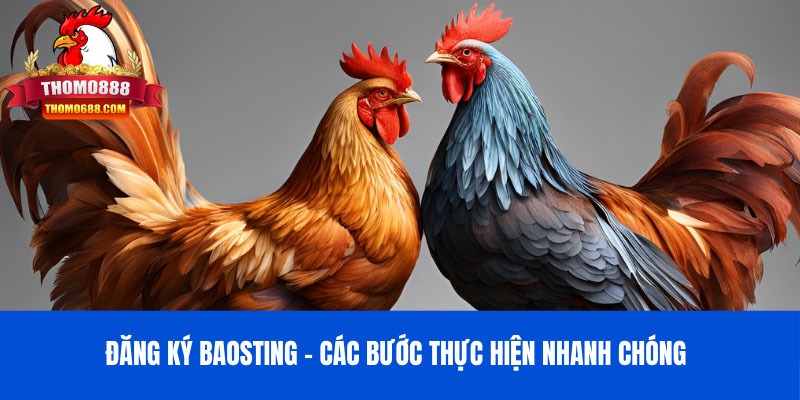 Đăng ký Baosting - 5 bước hướng dẫn chi tiết và lợi ích khi tham gia Bảo Sting