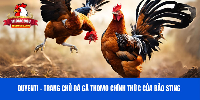 Duyenti | Trang Chủ Đá Gà Thomo Chính Thức Của Duyên Ti 2024 ✔️