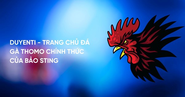 Giới thiệu tổng quan về Duyenti - Nhà cái đá gà số 1 Việt Nam