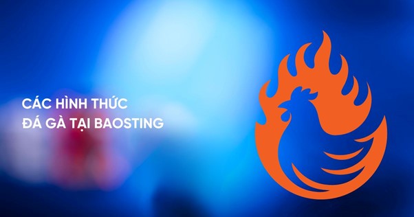 Các hình thức đá gà tại trang chủ Baosting